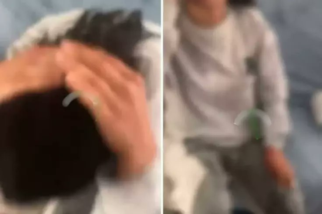 The brother who poured boiling water on his sister defended his actions by saying: Matter of honor
