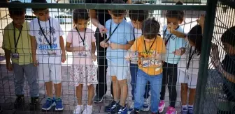 Konyaaltı Kreşi, Sokak Hayvanları Rehabilitasyon Merkezini Ziyaret Etti