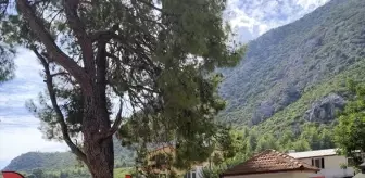 Kumluca'da Dünya Hayvanları Koruma Günü Etkinliği Düzenlendi