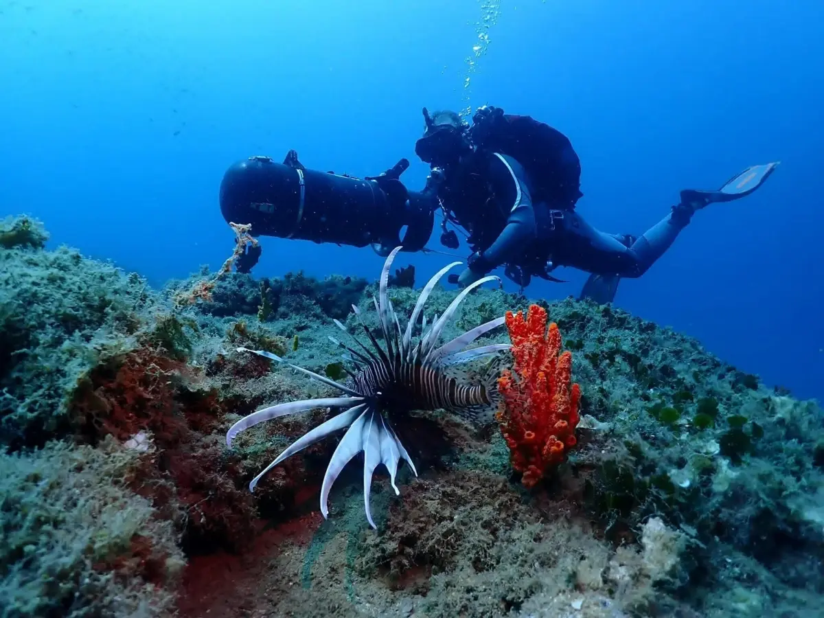 Kuşadası Dalış Turizmi ile Göz Dolduruyor