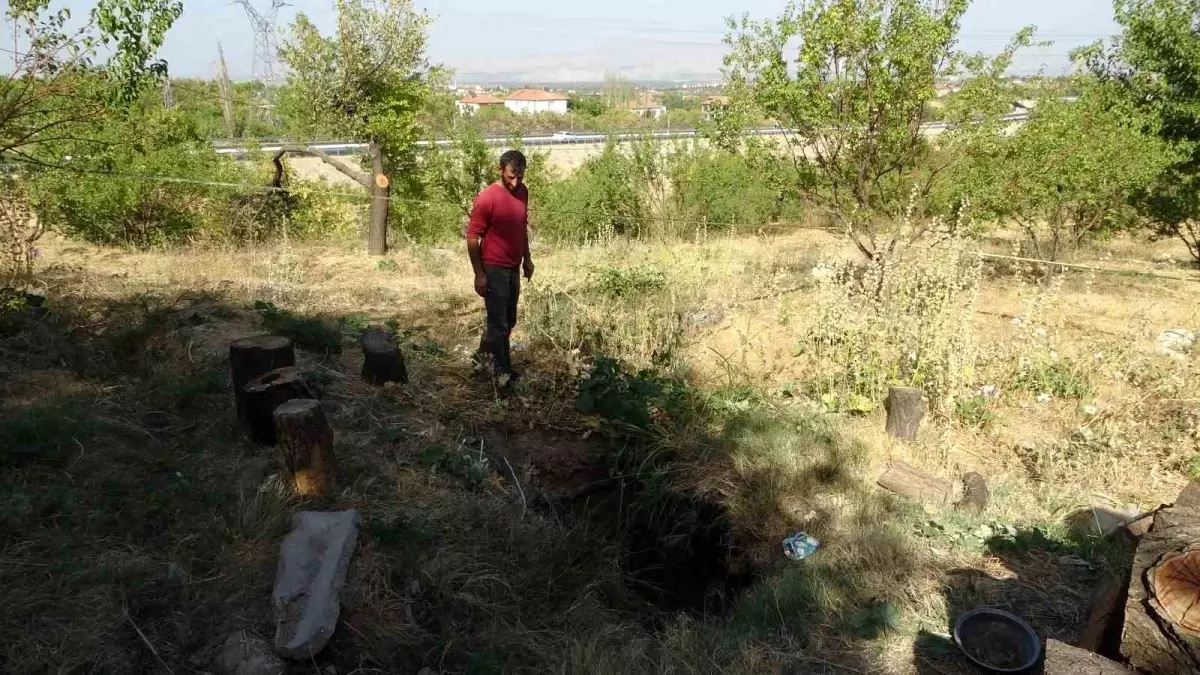 Malatya'da Kayısı Bahçesinde Obruk Oluştu