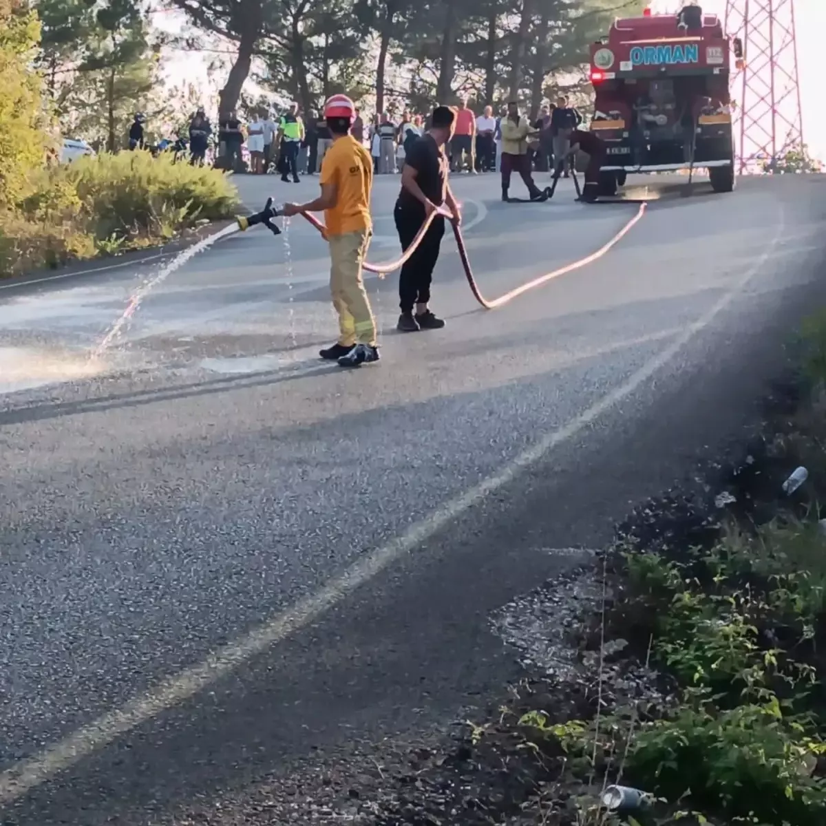 Otomobildeki Yangın Ormana Sıçramadan Söndürüldü
