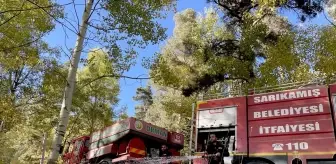 Kars'ta Orman Yangını Söndürüldü