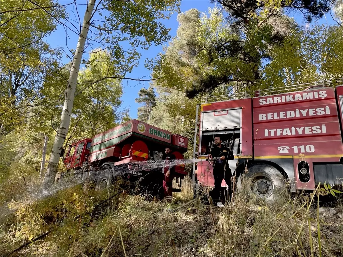Kars'ta Orman Yangını Söndürüldü