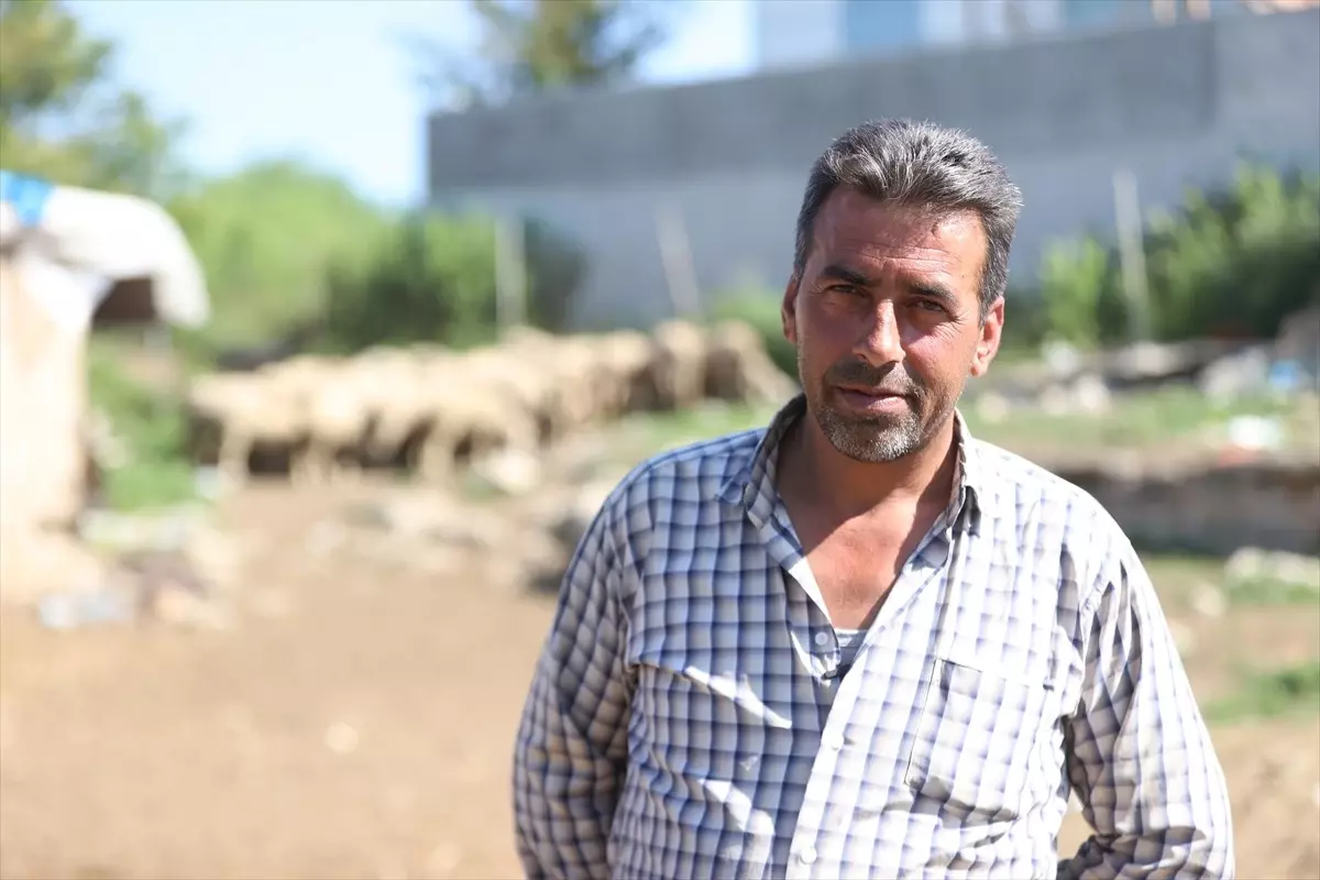 Şehir Stresinden Kaçış: 47 Yaşındaki Tuncay Aykanat Köyünde Hayvancılığa Başladı