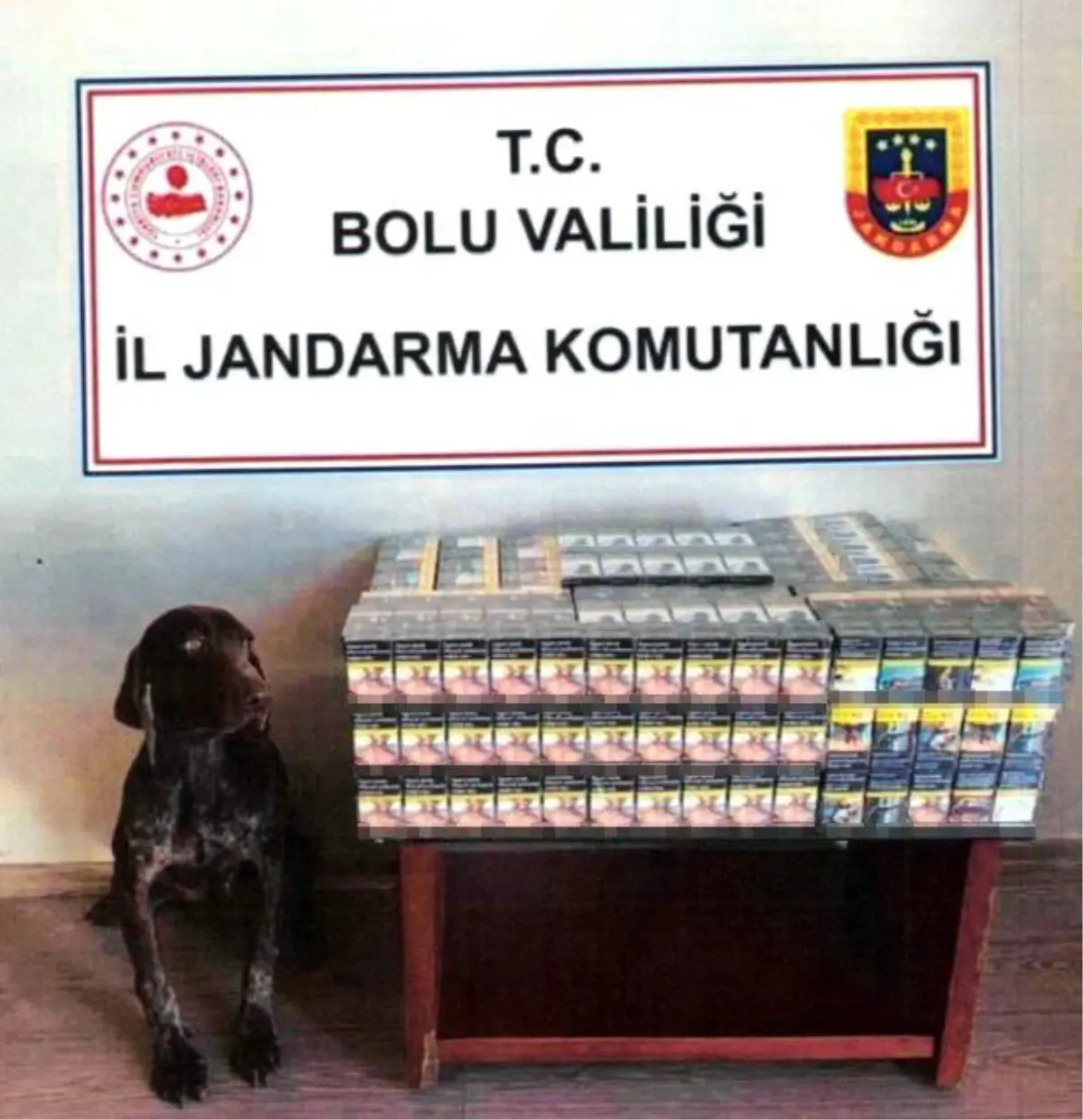 Bolu'da Yolcu Otobüsünde 430 Paket Kaçak Sigara Ele Geçirildi