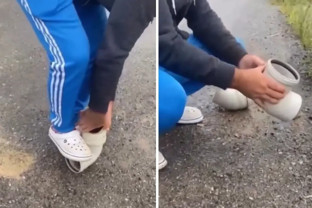 Boruya sıkışan kirpiyi böyle kurtardılar