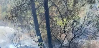 Hatay'ın Erzin ilçesinde orman yangını kontrol altına alındı