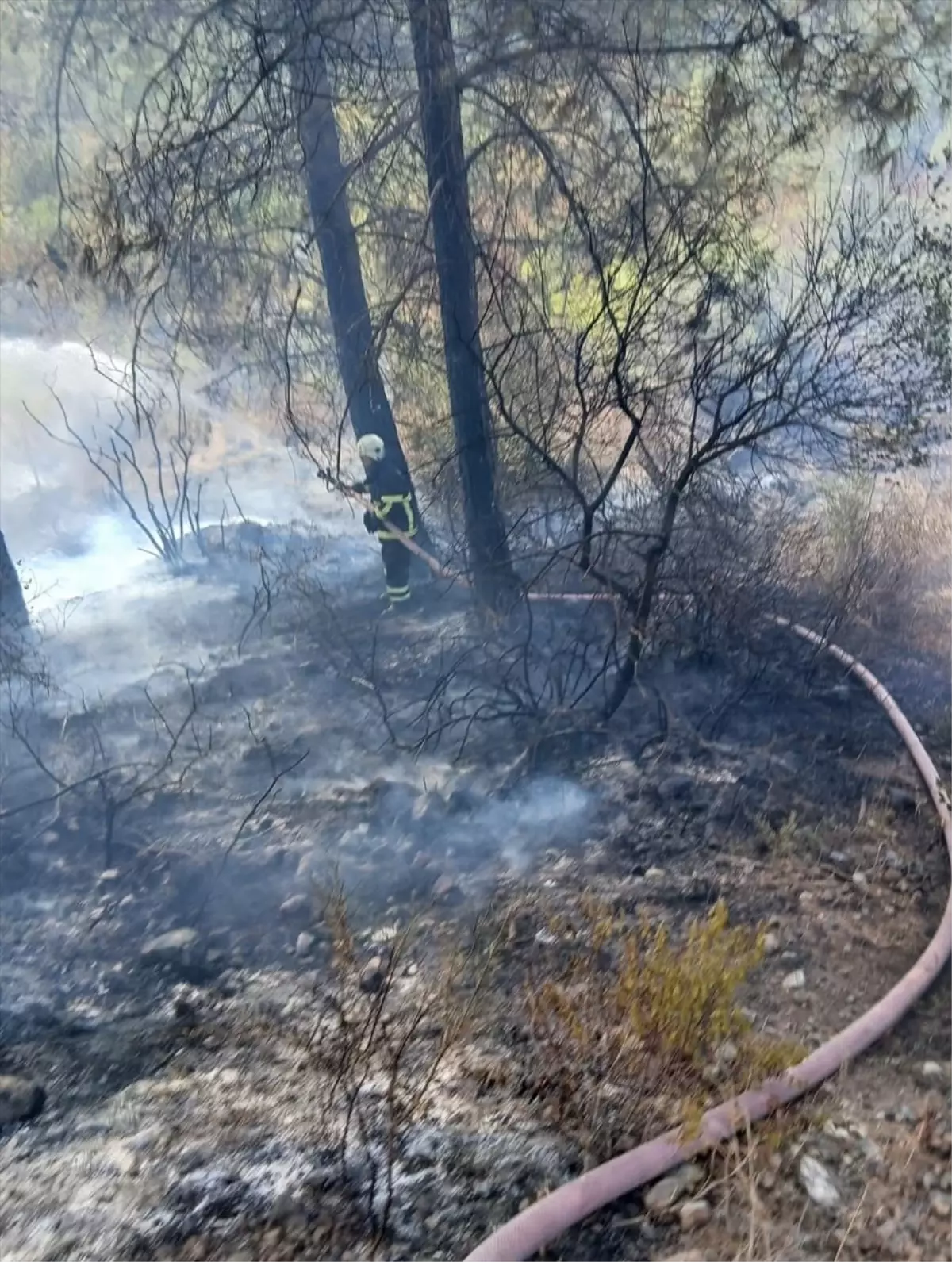 Hatay'ın Erzin ilçesinde orman yangını kontrol altına alındı