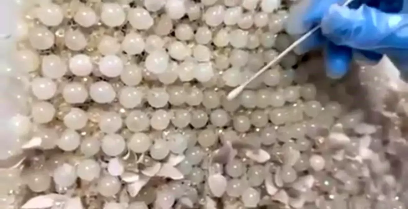 Kayseri'de Gelinlik İçine Gizlenmiş 25 Kilo Uyuşturucu Ele Geçirildi