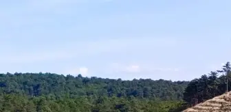 Nallıhan'da Yangın Sonrası 2 Milyon Fidan Dikildi