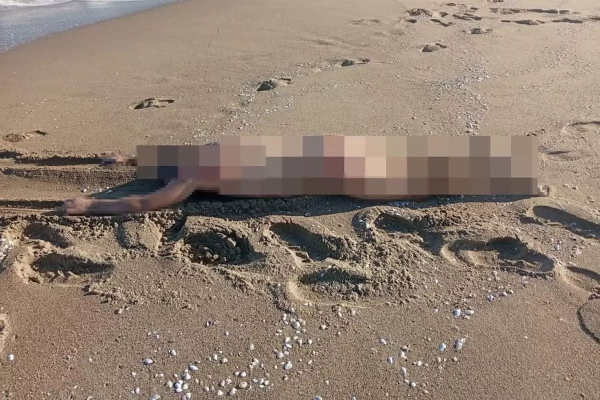 Na obali v Karasuju našli truplo golega moškega