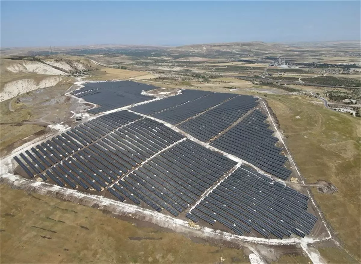 Şanlıurfa'da Çizgili Sırtlan Güvenlik Kamerasında Görüntülendi