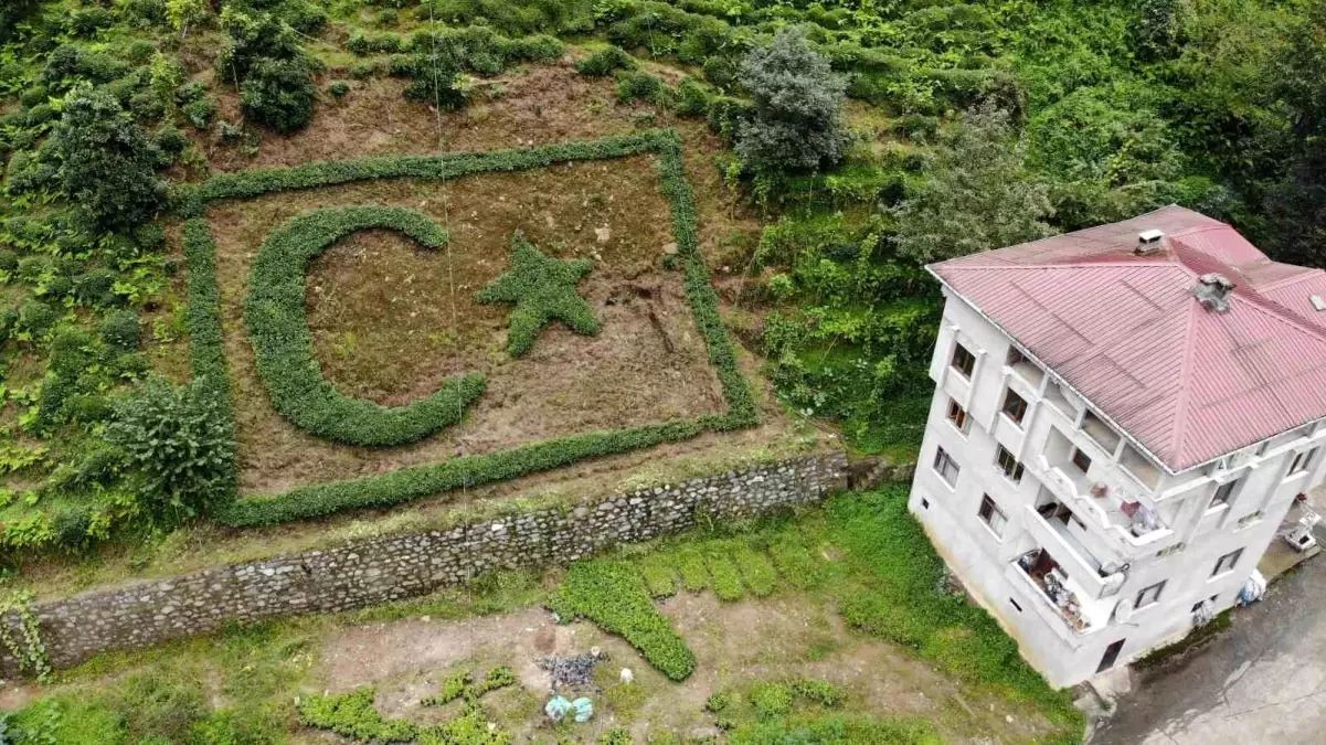 Çaylı Bahçede Türk Bayrağı: Şevki Yılmaz Gürel'in Özgün Projesi