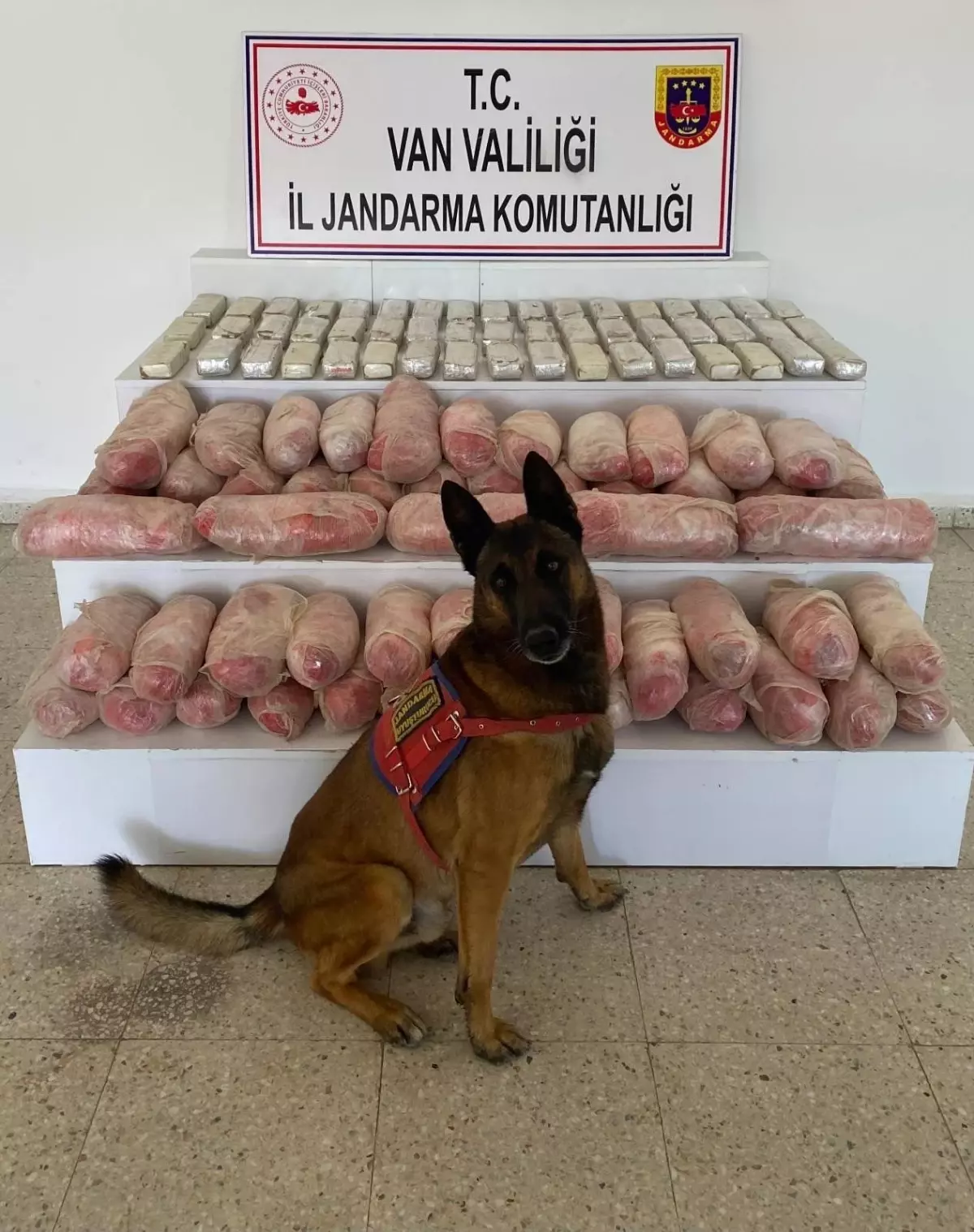 Van'da Jandarma Uyuşturucu Operasyonu: 67 Kilo Malzeme Ele Geçirildi