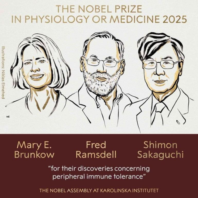 The winner of the 2025 Nobel Prize in Physiology or Medicine has been announced