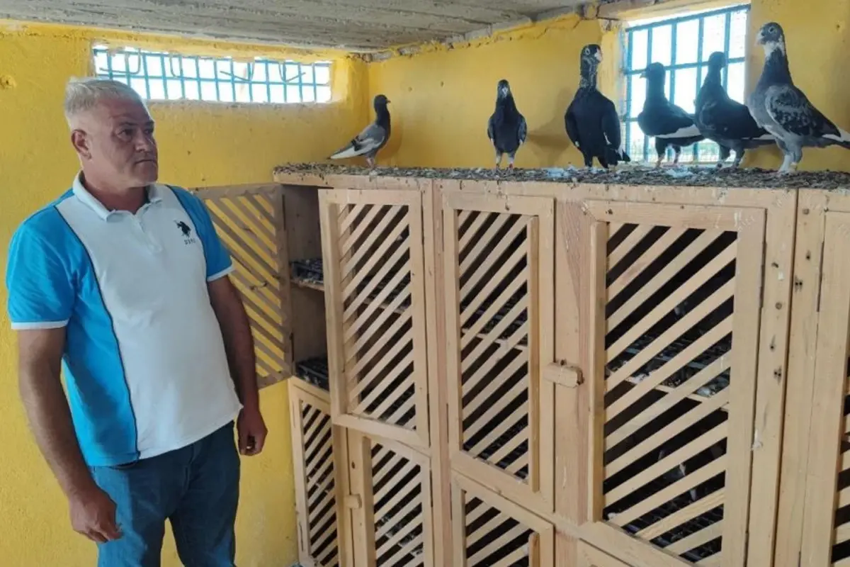 6 aydır arıyor! Ödülü 100 bin liraya çıkardı