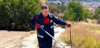 Taşova'da Yılan Panik Yaratırken İtfaiye Ekipleri Duruma El Attı