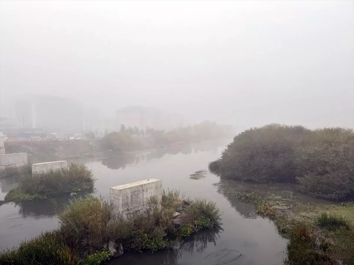 Ardahan'da Yoğun Sis, Görüş Mesafesini Düşürdü