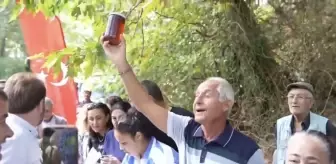 Uluslararası Kazdağları Bal Hasat Şenliği Edremit'te Coşkuyla Gerçekleşti