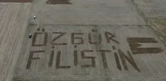Biga'da Çiftçi, Tarlasına 'Özgür Filistin' Yazdı