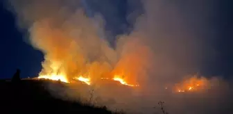 Elazığ'da Ormanlık Alana Sıçrayan Yangın Kontrol Altına Alındı