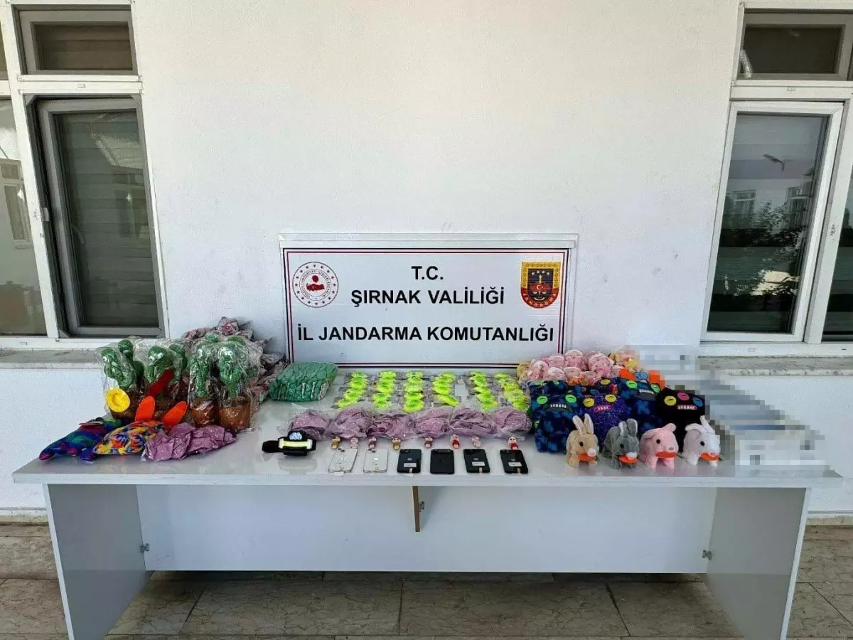 Şırnak'ta Kaçakçılık Operasyonları: 98 Şüpheli Gözaltında