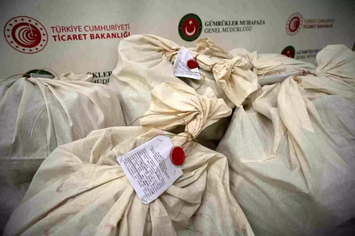 Edirne Kapıkule Gümrük Kapısı'nda 113 Kilogram Esrar Ele Geçirildi