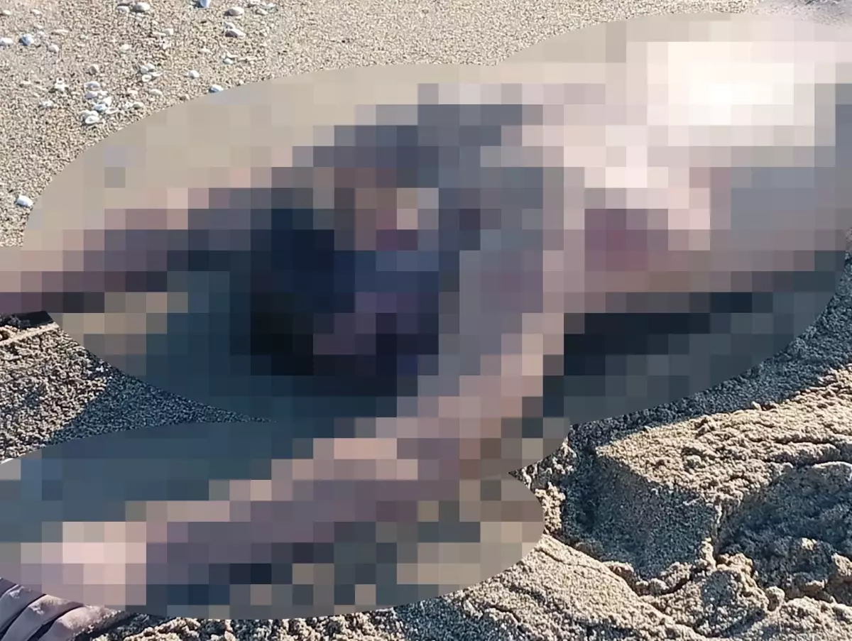 Karasu'da Kumsalda Çıplak Erkek Cesedi Bulundu