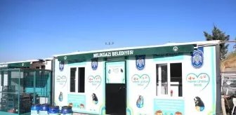 Kayseri'de Yemek Artıklarıyla Sokak Hayvanlarına Mama Üretiliyor