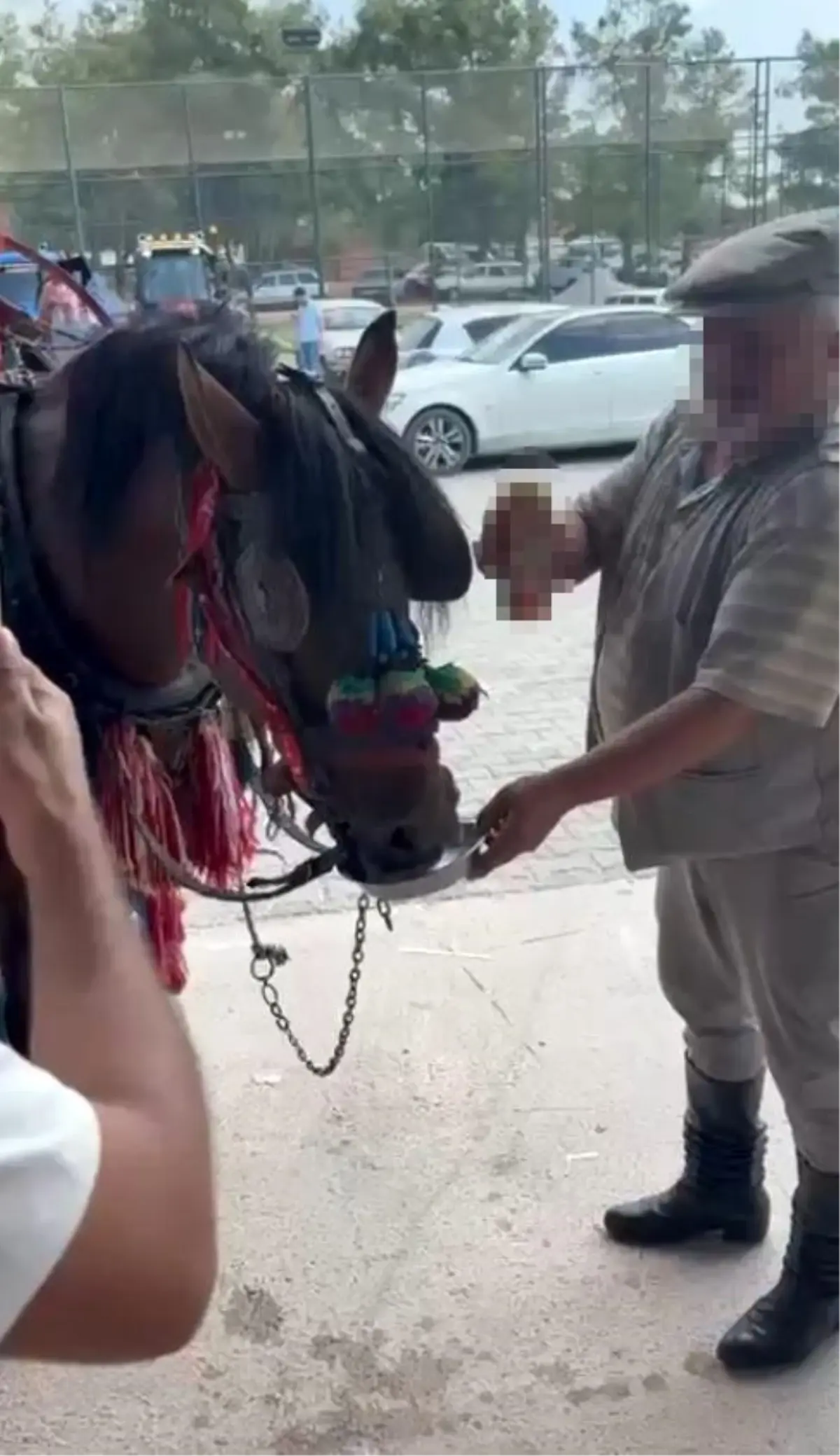 Muğla'da Düğünde Ata Alkollü İçecek Verildi