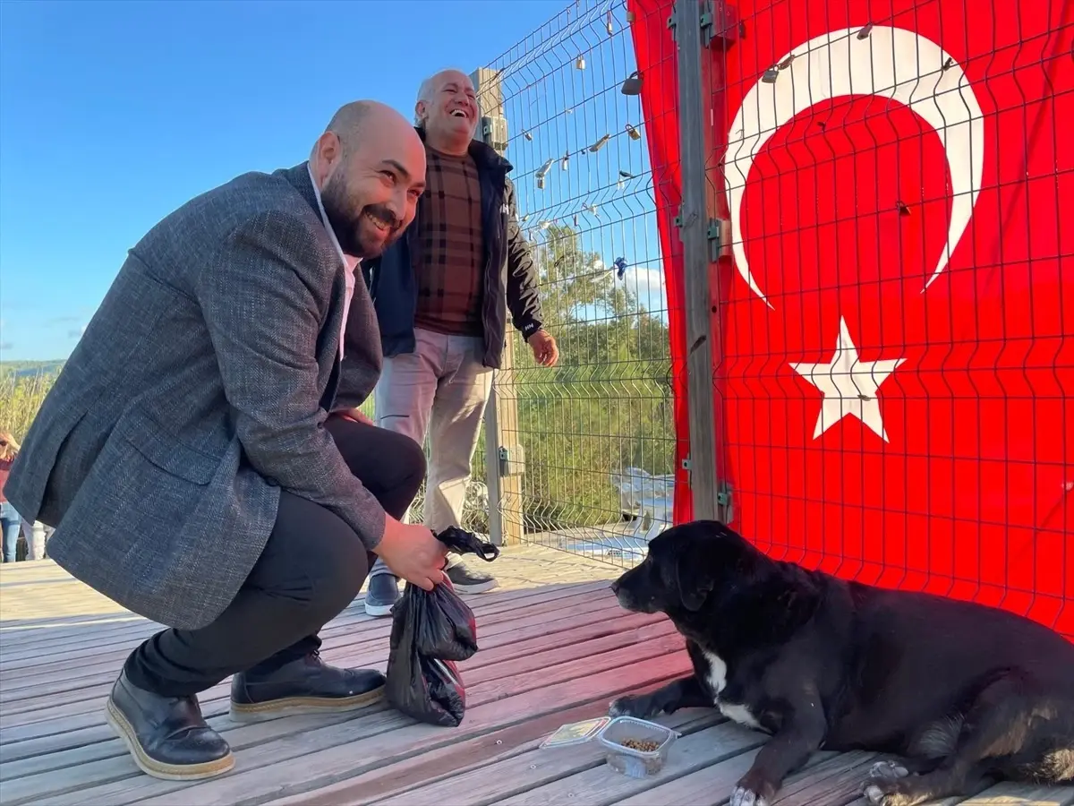 MHP Muğla'dan Dünya Hayvanları Koruma Günü Etkinlikleri