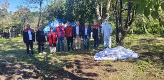 Kahverengi Kokarca ile Mücadele İçin Saha Çalışması Yapıldı