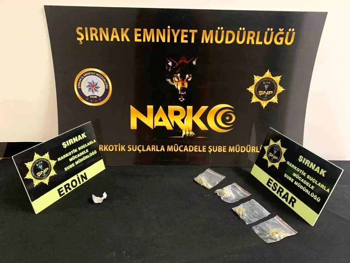 Şırnak'ta Uyuşturucu ve Kaçakçılık Operasyonları: 40 Gözaltı