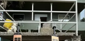 Trabzon ve Ordu'da Kahverengi Kokarca ile Mücadele Devam Ediyor