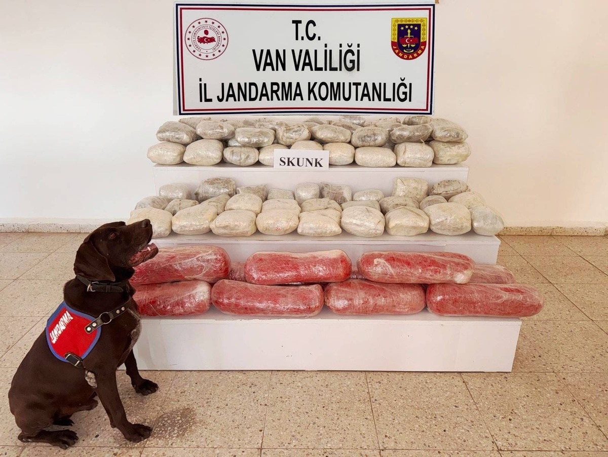 VAN'da 61 Kilo Skunk Ele Geçirildi