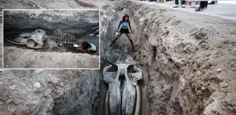 4 yıl önce gömülmüştü, topraktan çıkarılıyor! Boyu tam 14 metre