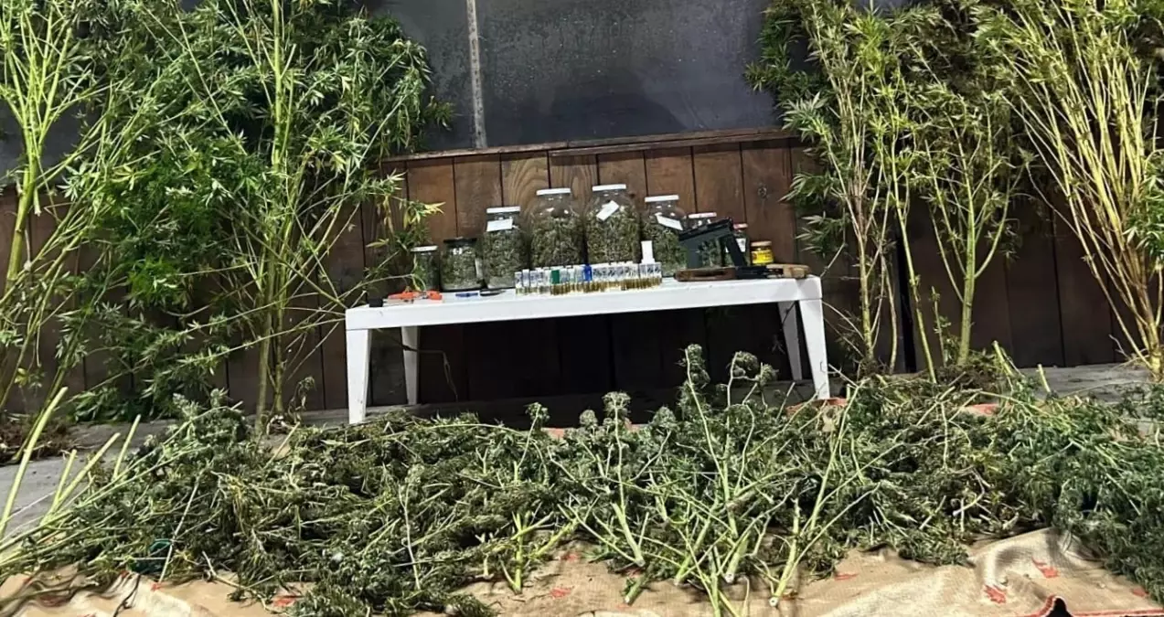 İnegöl'de Uyuşturucu Operasyonu: 9 Kilo Esrar ve Silah Ele Geçirildi