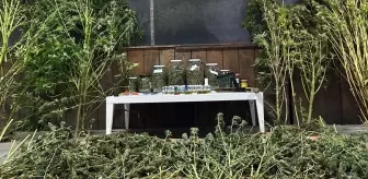 İnegöl'de Uyuşturucu ve Silah Operasyonu: 1467 Gram Esrar Ele Geçirildi