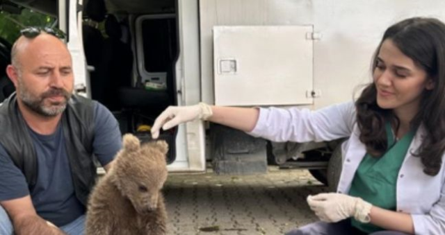 Doğa Koruma ve Milli Parklar Genel Müdürlüğü personel alımı başvuru tarihleri: DKMP personel alımı şartları neler, başvuruları nereden, nasıl yapılır?