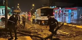 Edirne'de Sağanak Yağış Ağaç Devrilmesine ve Trafik Aksamalarına Neden Oldu