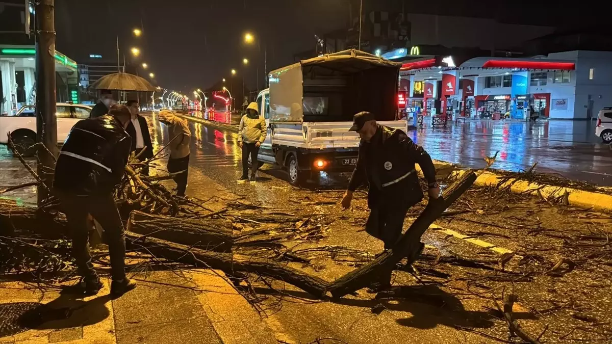 Edirne'de Sağanak Yağış Ağaç Devrilmesine ve Trafik Aksamalarına Neden Oldu