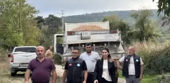 Kaymakam Büyüker, Gerze'de Yol Yapım Çalışmalarını İnceledi