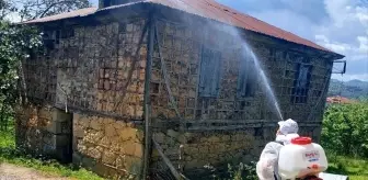 Giresun'da Kahverengi Kokarcayla Mücadele İçin İlaçlama Çalışmaları Yapıldı