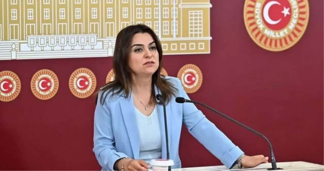 Gülistan Kılıç Koçyiğit kimdir? DEM Parti Grup Başkanvekili Gülistan Kılıç Koçyiğit kaç yaşında, nereli?