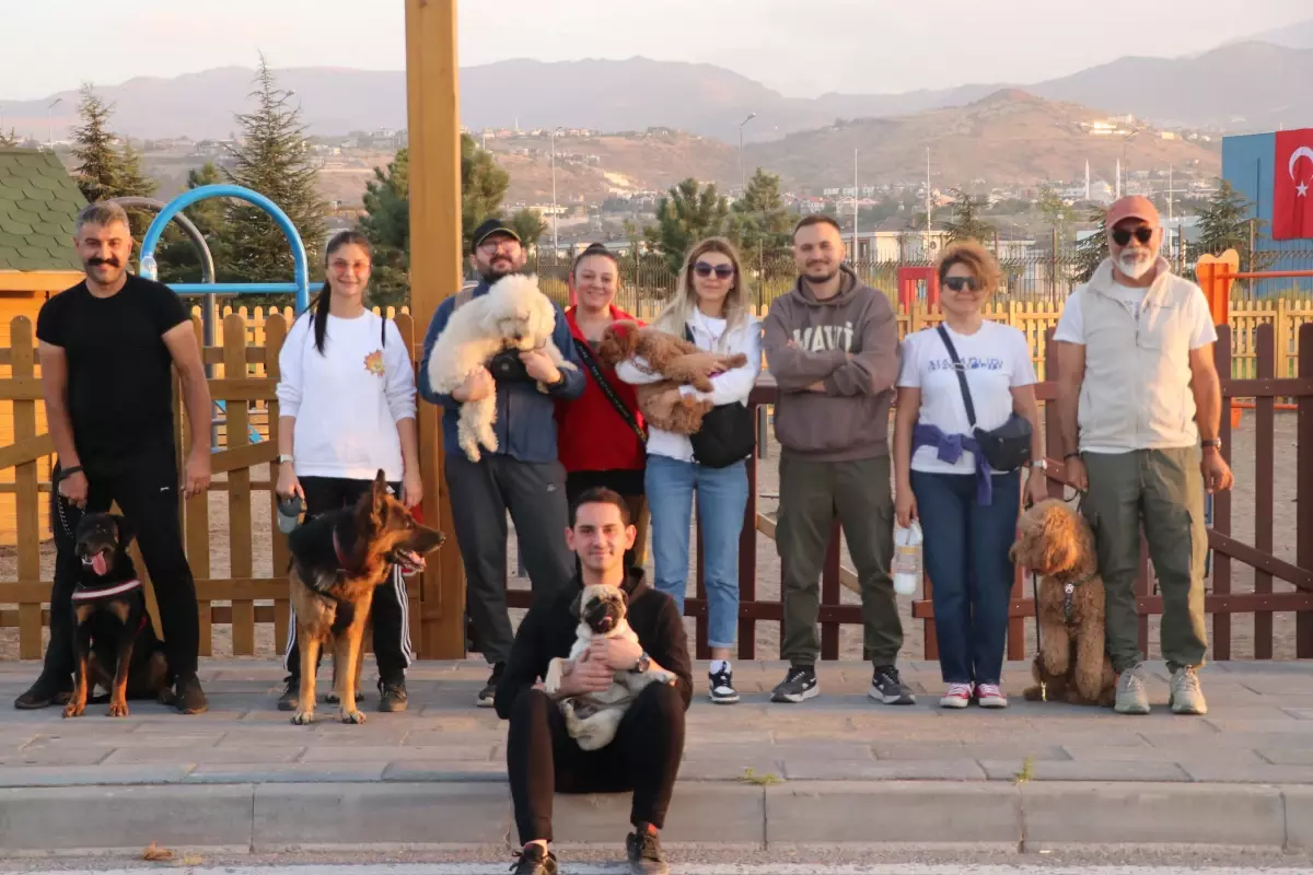 Kayseri'de Köpek Eğitim Parkuru ile Pati Dostlara Destek