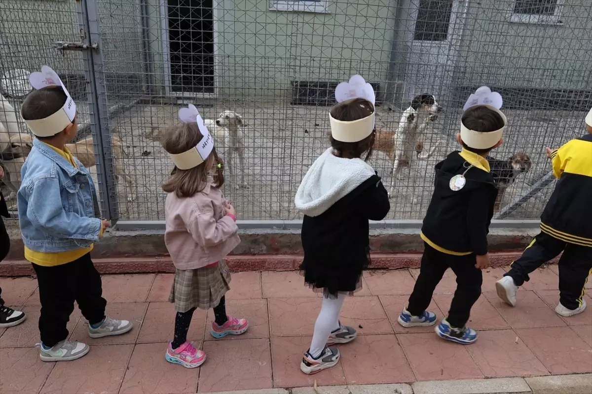 Dünya Hayvanları Koruma Günü'nde Çocuklar Bakımevini Ziyaret Etti