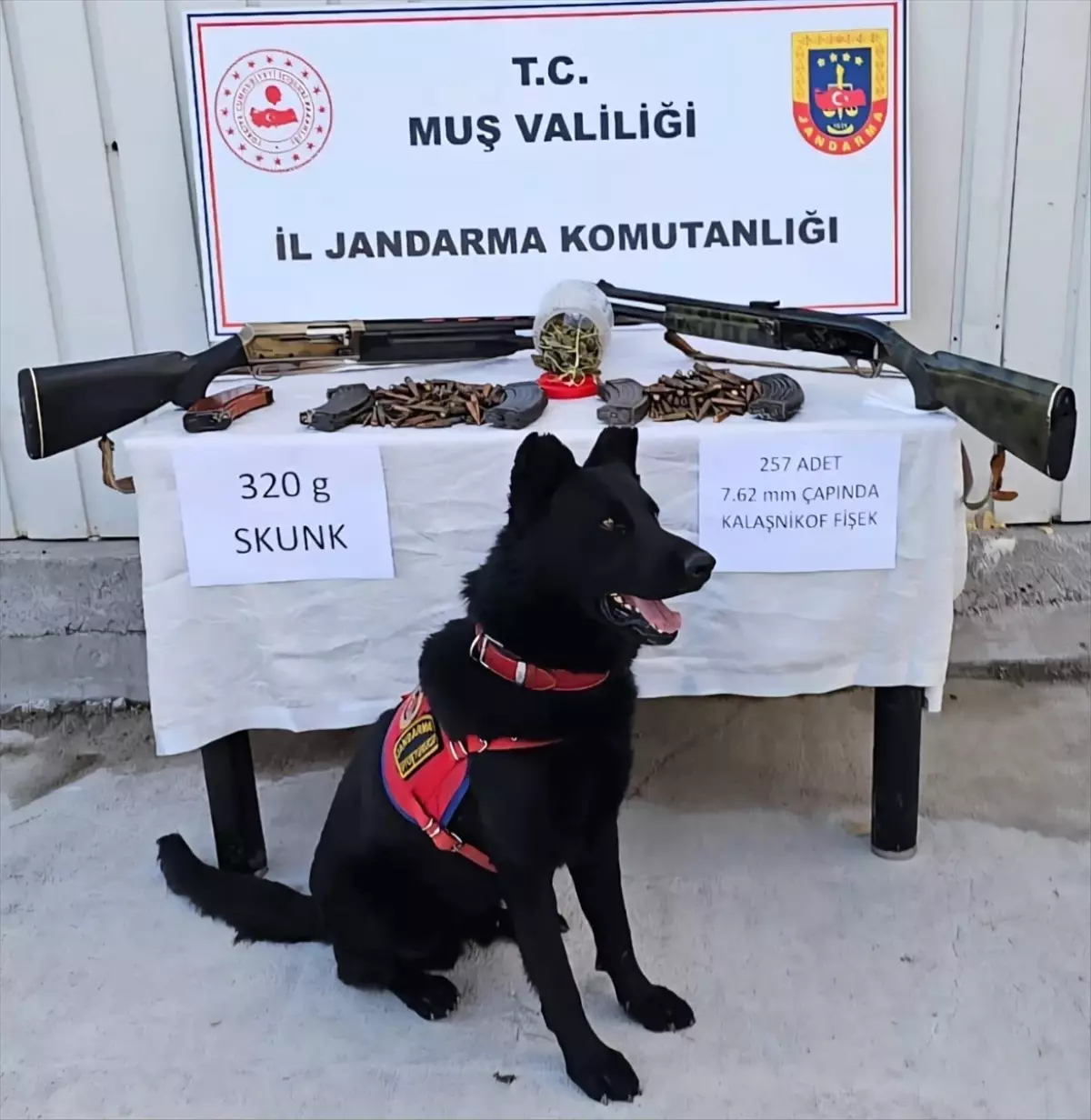 Muş'ta Jandarma Operasyonu: Uyuşturucu ve Silah Ele Geçirildi