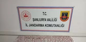 Şanlıurfa'da 2 Bin 128 Uyuşturucu Hap Ele Geçirildi