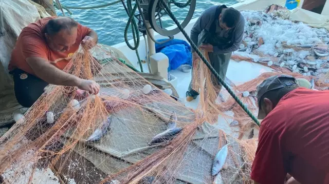'They said it wouldn't happen this year, good news came from the Black Sea'
